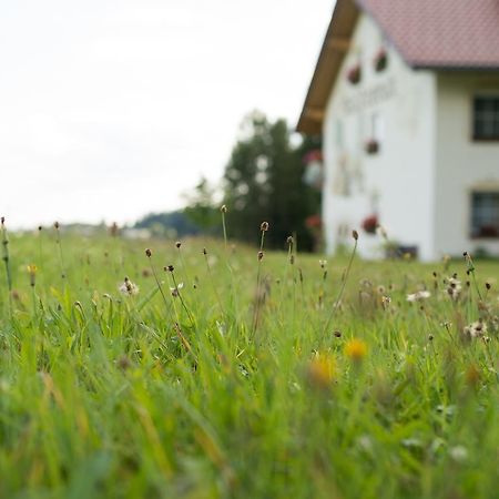 Pension Waldesruh Hotel Sankt Oswald-Riedlhuette Luaran gambar