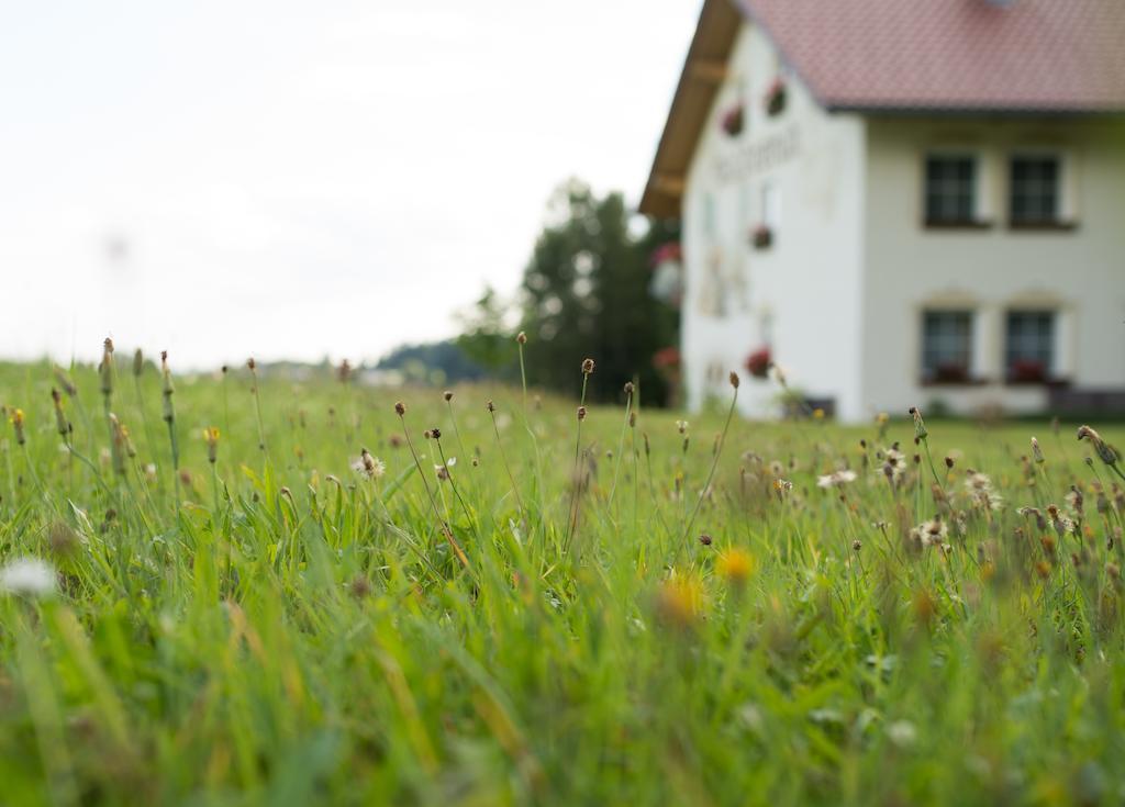 Pension Waldesruh Hotel Sankt Oswald-Riedlhuette Luaran gambar