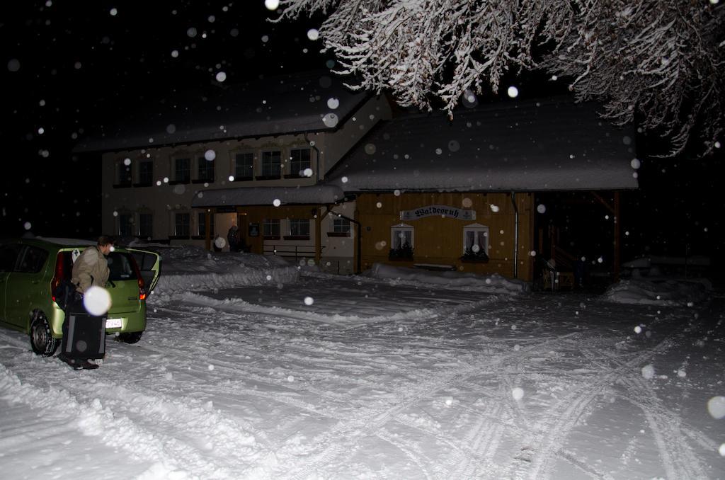 Pension Waldesruh Hotel Sankt Oswald-Riedlhuette Luaran gambar