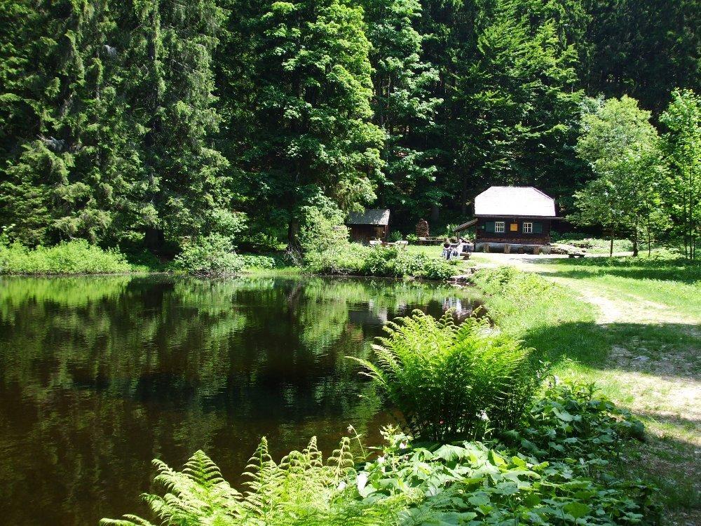 Pension Waldesruh Hotel Sankt Oswald-Riedlhuette Luaran gambar