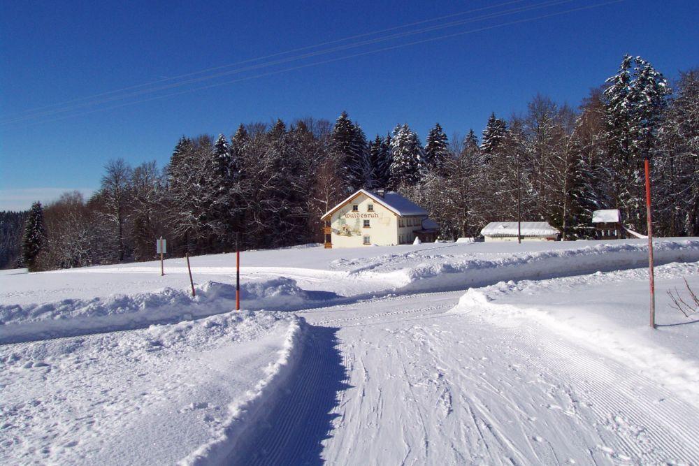 Pension Waldesruh Hotel Sankt Oswald-Riedlhuette Luaran gambar